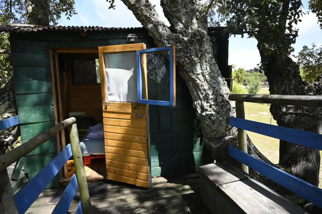 Direction South Campsite *