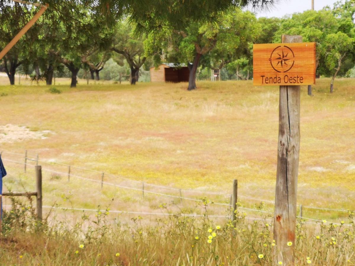 Camping Direction South