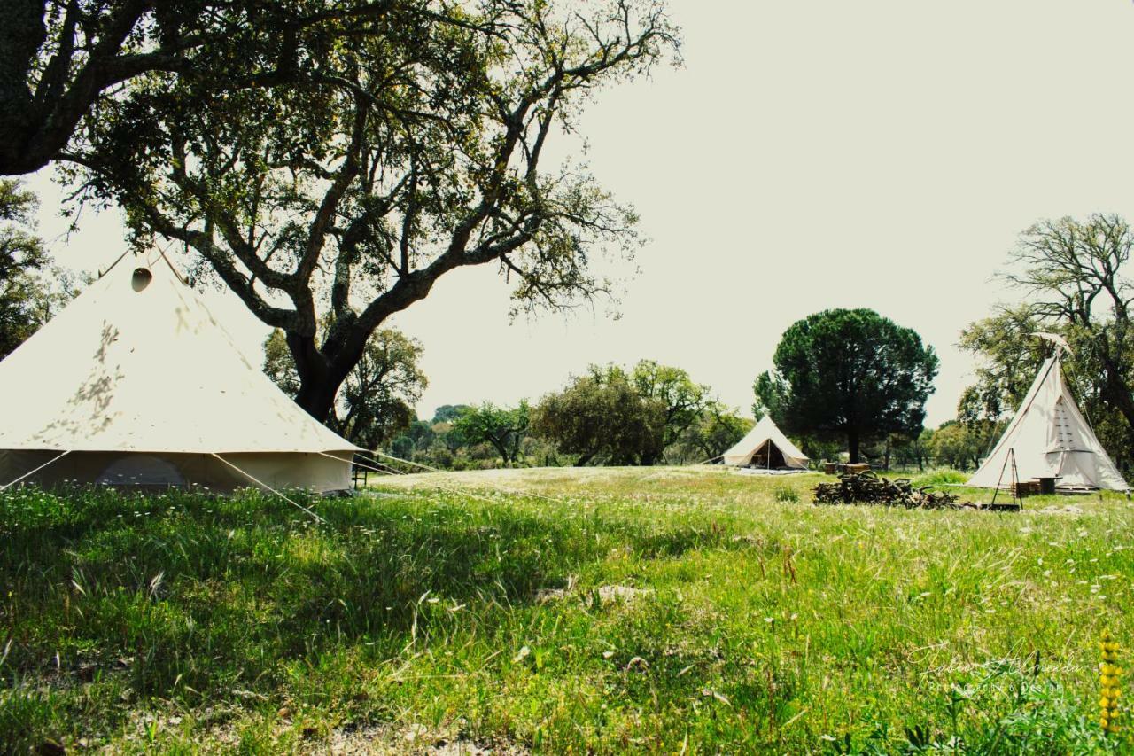Campsite Direction South *